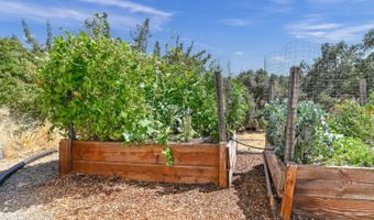 1703 Tryon Ct, Angels Camp, CA 95222