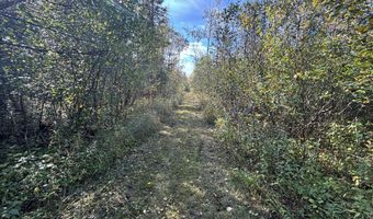 5280 Cathro Rd, Alpena, MI 49707