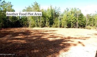 330 County Road 245, Abbeville, MS 38601