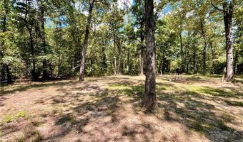 10935 Pin Oak Loop, Belleville, AR 72824