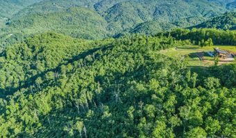 H and H Trail, Bat Cave, NC 28710
