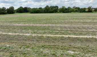 290 CR, Asbury, MO 64832