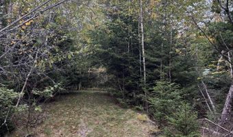 M20L2 E Side Road, Addison, ME 04606