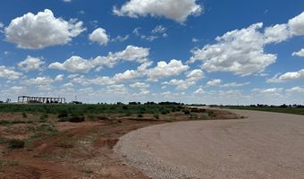 SE CR 2870, Andrews, TX 79714