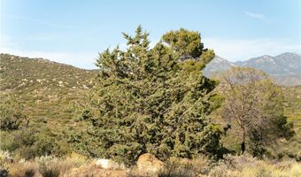 61826 Spanish Dagger Ln, Anza, CA 92539