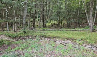 Shaver Hollow, Andes, NY 13731