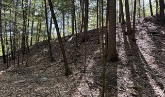 Lot 20 -20.3 Farr Road Lot 20-Lot 20.3 Farr Rd and Lot 11-11-1 Brook St, Chesterfield, NH 03466