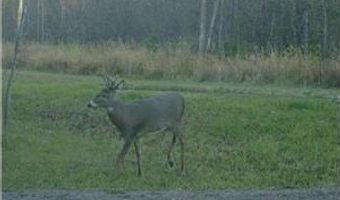 999 Porcupine Trl, Aitkin, MN 56431