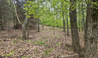 8941 S E Torch Lake Dr, Alden, MI 49612