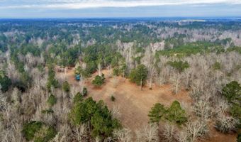 241 Foskey Cemetary Rd, Adrian, GA 31002