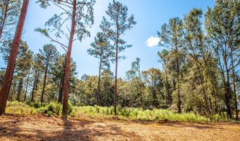 535 Rabbit Pen Dr, Appling, GA 30802