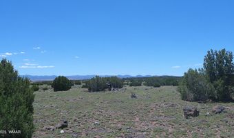 Tbd Windsor Valley Ranch Lot 87, Concho, AZ 85924