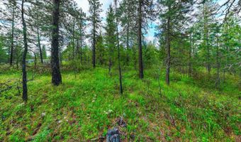 Nna Smoke Tree Ave, Athol, ID 83801