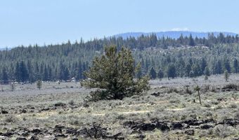 Oregon Pines Road TL 1200, Beatty, OR 97621
