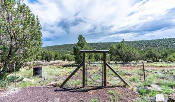 33 CR 8099 Dr, Concho, AZ 85924