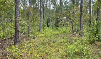 00 Pisgah Rd 2, Brandon, MS 39047