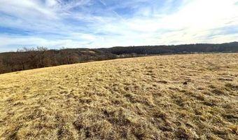 178 Acres Bug Scuffle Ln, Anderson, MO 64831