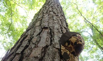 NE Greenhill Trail, Brookhaven, MS 39601