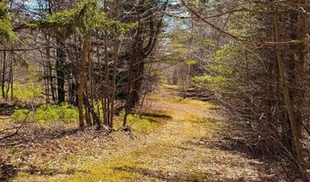 TM 407 L 35 Shem Valley Road, Alexandria, NH 03222
