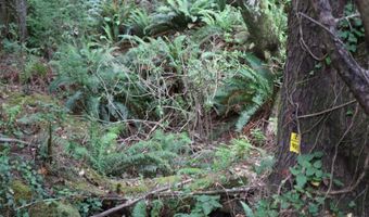 Picture Windw Lane, Arch Cape, OR 97102