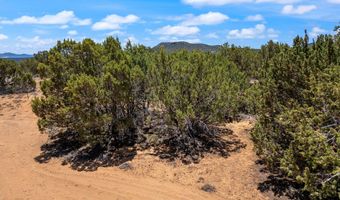 6 County Rd 8021, Concho, AZ 85924