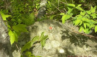 Lot 35 Bennett Road, Alfred, ME 04002