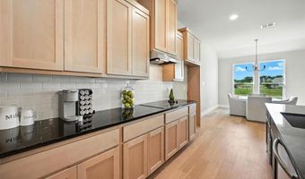1114 Silver Sage Trl, Weatherford, TX 76085