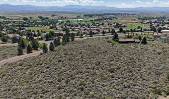 2458 Eagle Ridge Rd 1, Genoa, NV 89411