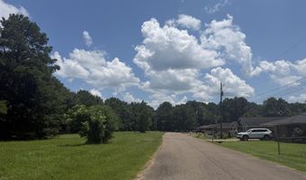 100 Millennium Dr, Aberdeen, MS 39730