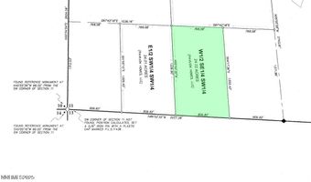 00827023 W Star Peak Rd, Imlay, NV 89418