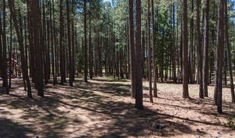 Cimarron Trail lot 551, Angel Fire, NM 87710