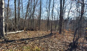 0 W Captina Highway Rd, Alledonia, OH 43902