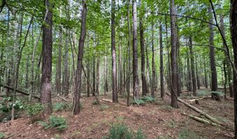 0 Holiday Lake Rd, Appomattox, VA 24522
