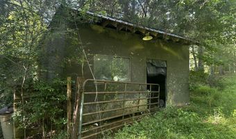 137 Shorter Rd, Braxton, MS 39044