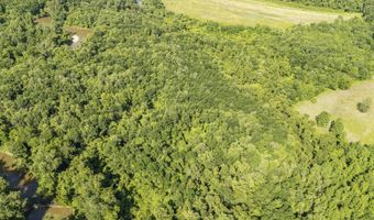 22 Hwy, Adamsville, TN 38310