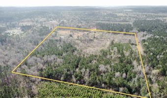 229 Padgett Rd, Benton, LA 71006