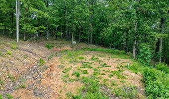 100 Block SPANISH MINE, Jessieville, AR 71909