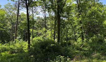 79 CABIN Rd, Augusta, WV 26704