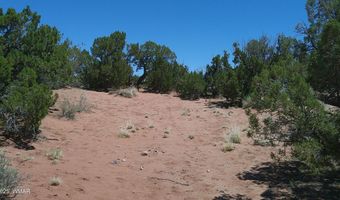 Tbd Rio Ranch, Concho, AZ 85924