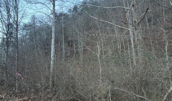 Highway 25E, Bean Station, TN 37708