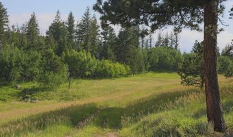 381 OLD CAMP Rd, Bellvue, CO 80512