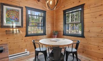 42 LEAP YEAR Trl, Blue River, CO 80424