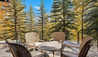 285 Pfister Dr, Aspen, CO 81611