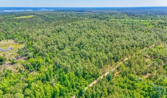 93 Acres Dell Rd, Bainbridge, GA 39819