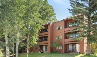 1221 Vine St 1221, Aspen, CO 81611