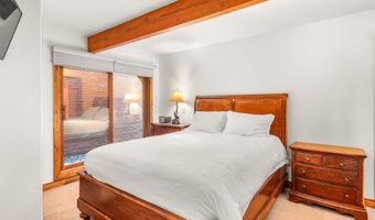 630 E Cooper Ave 1, Aspen, CO 81611