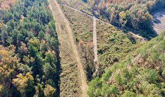 TBD Binnicker Bridge Road, Bamberg, SC 29003