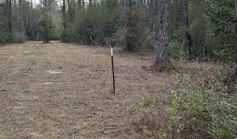 51235 Phillipsville Rd, Bay Minette, AL 36507