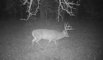 TBD 194th Avenue, Argyle, IA 52619