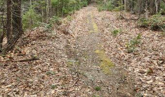 0 Clarks/Woodland Trl 409-4, Alexandria, NH 03220